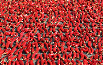 김장 담그는 과정과 배추 10포기 기준 재료 비율