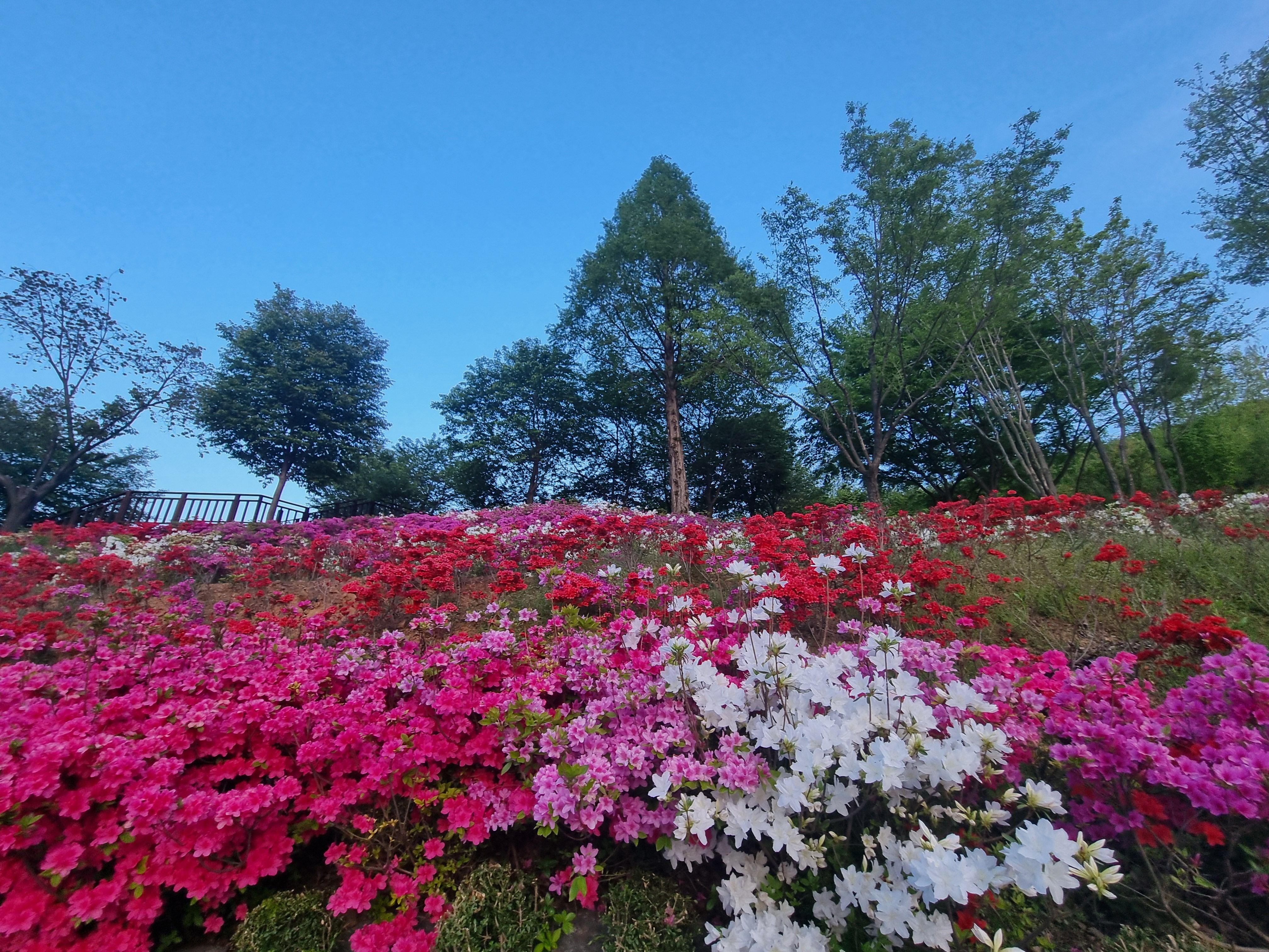 광명시흥신도시 분양