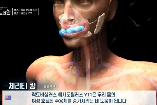 여성 갱년기 유산균 YT1