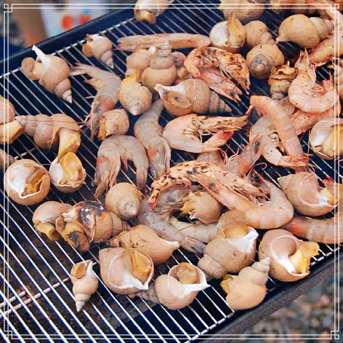 TBJ 생방송투데이 포항 구룡포시장 전국 택배 주문 백고둥구이 맛집