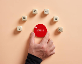 마그네슘 효능 스트레스 완화