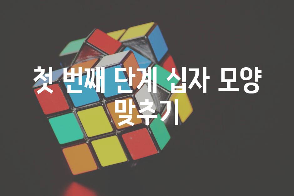 첫 번째 단계 십자 모양 맞추기