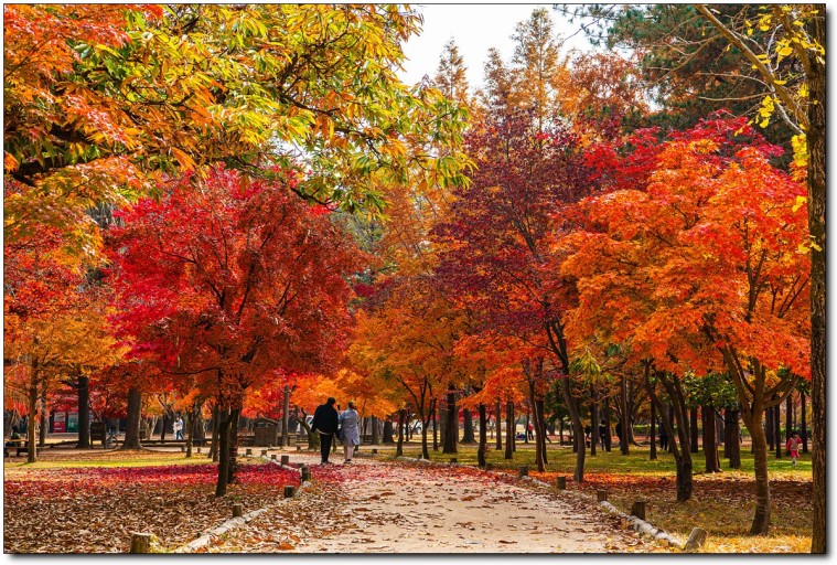 남이섬