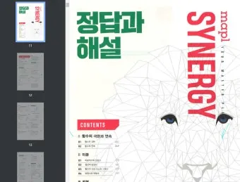 2025 마플시너지 공통수학2 책소개 교재리뷰 답지 모음집_17
