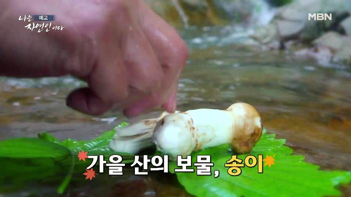나는-자연인이다-윤택