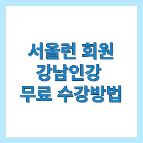 서울런-회원-강남인강-무료-수강방법