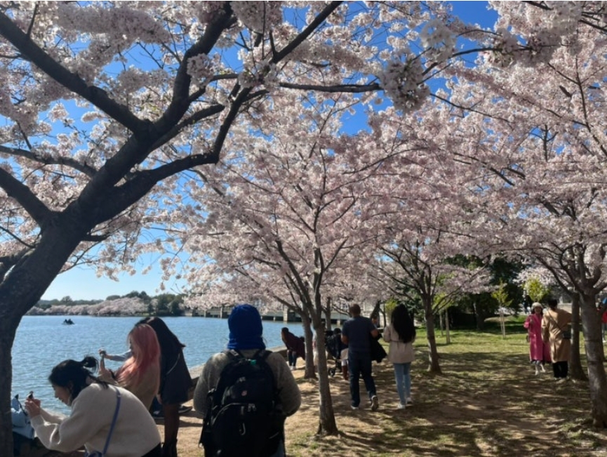 워싱턴 내셔널 몰