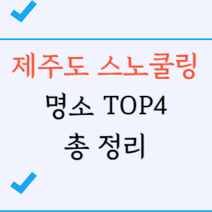 제주도 스노쿨링