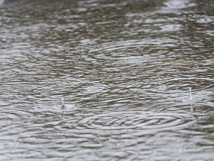 2024 장마 소식 받기 앱