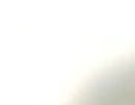 먼지다듬이 벌레