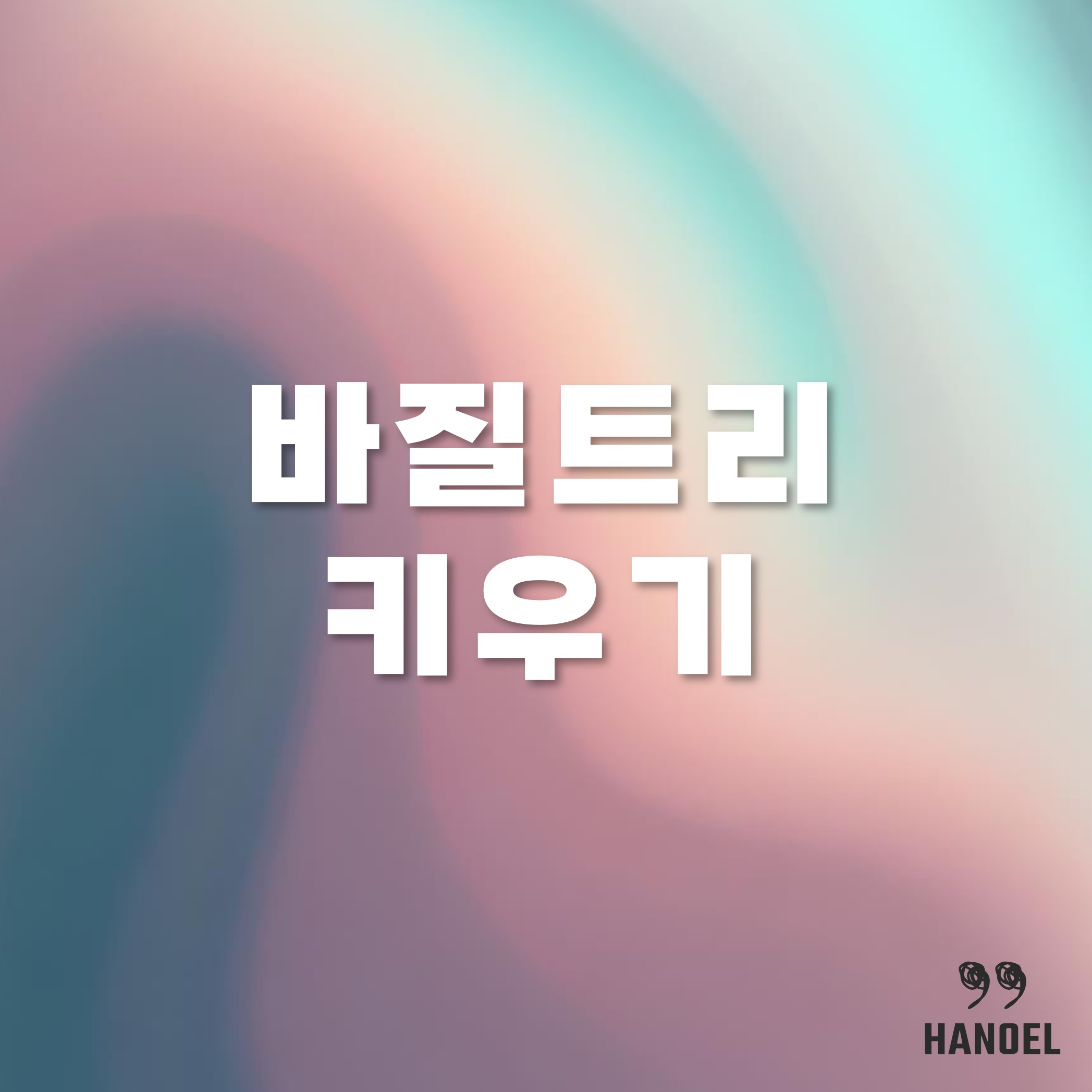 식용 바질트리 키우기 물주기 가지치기