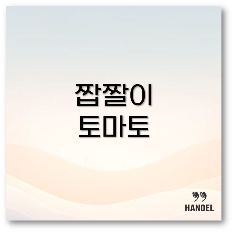 짭짤이토마토