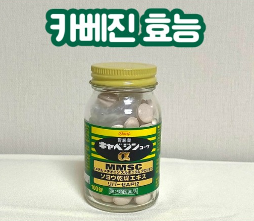 카베진 복용법 효능 카베진 가격