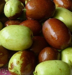 대추 효능과 부작용 고르는법 칼로리