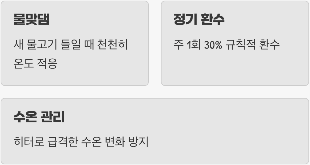 최고의 치료는 예방, 튼튼한 어항 만들기