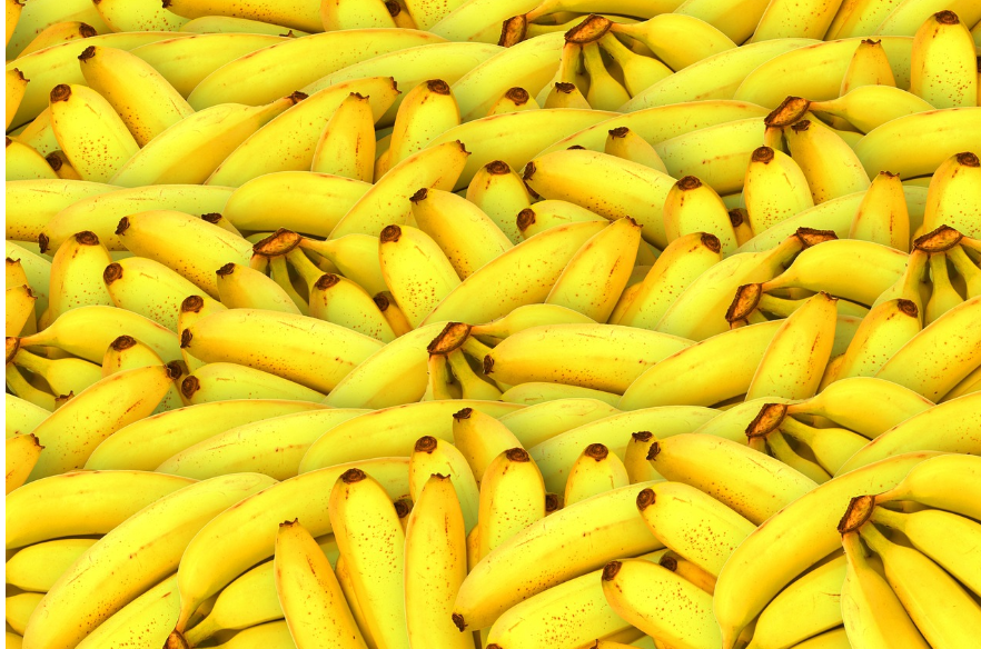 한 가지 음식만 먹는 원푸드 다이어트의 부작용