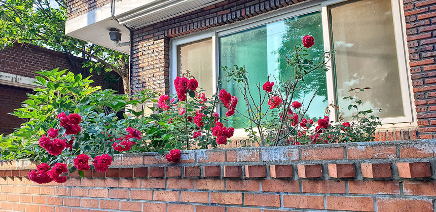 단양 여행의 명소