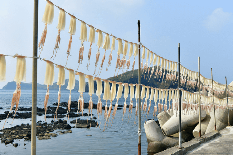 자구내포구-한국관광공사