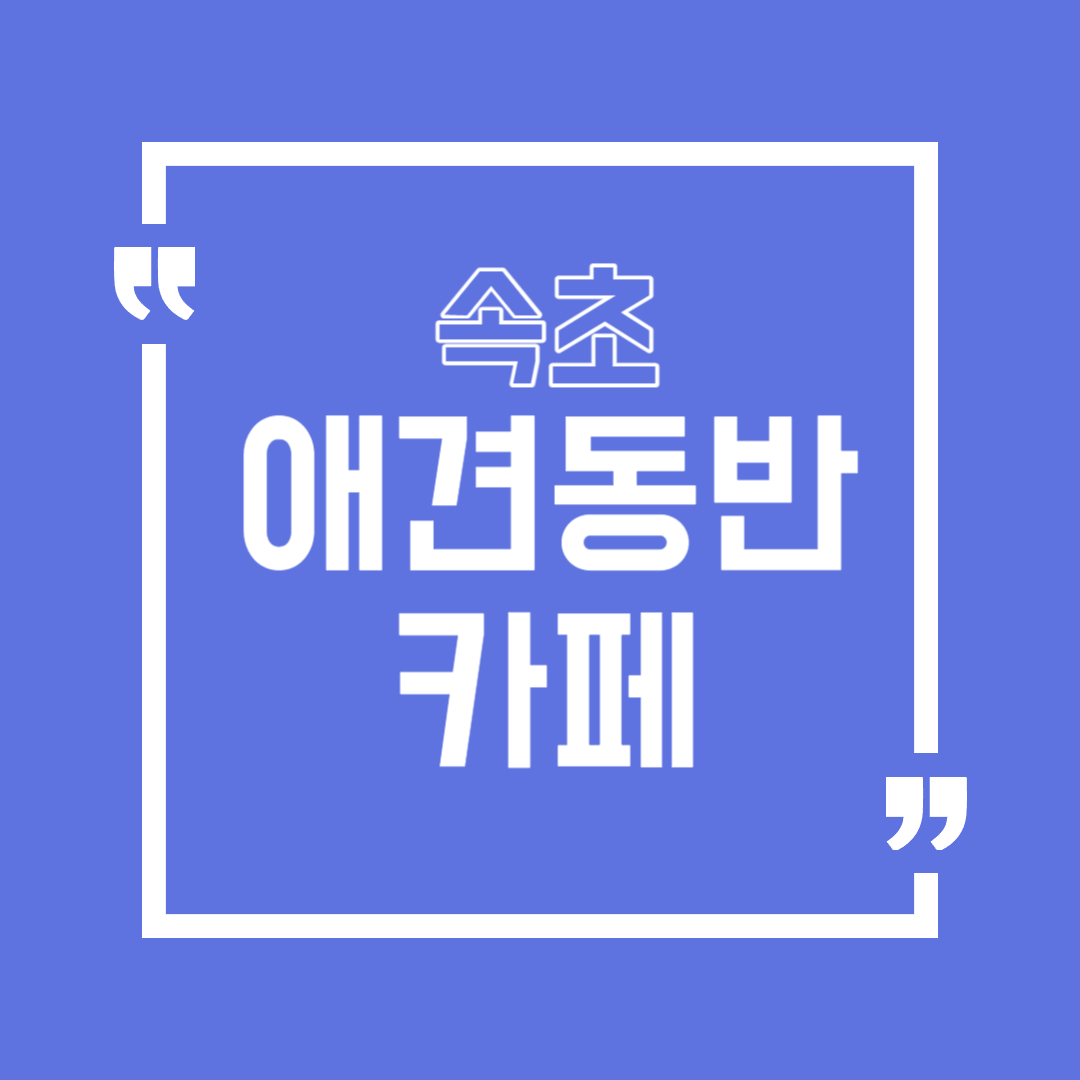 속초 애견동반