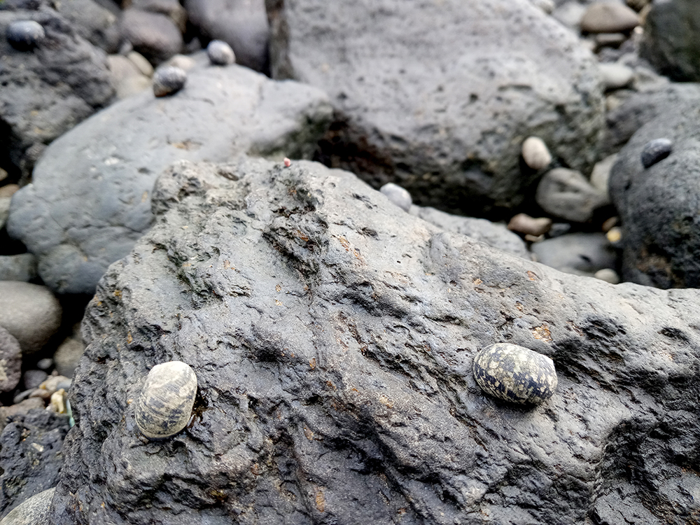 모세의 기적 써근섬 '서건도'