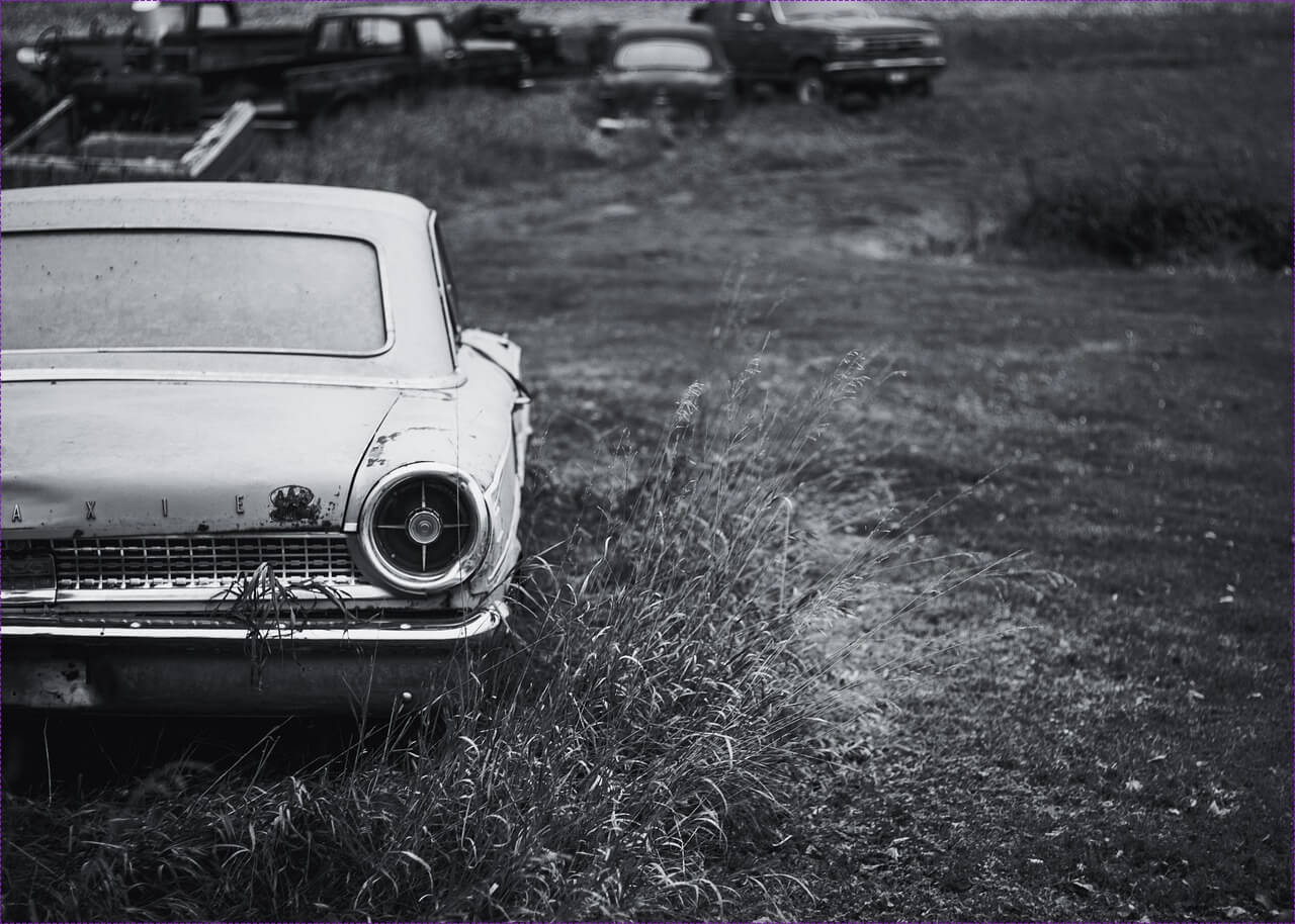 토요타 캠리 하이브리드 2025 가격