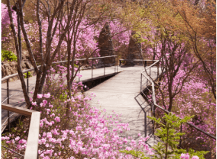 화담숲 예약 방법&amp;#44; 모노레일 시간