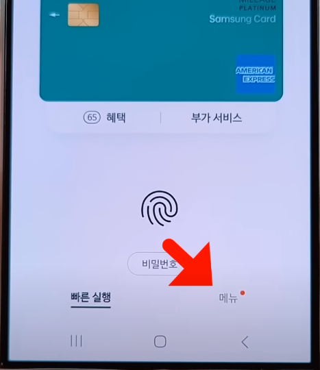 삼성페이