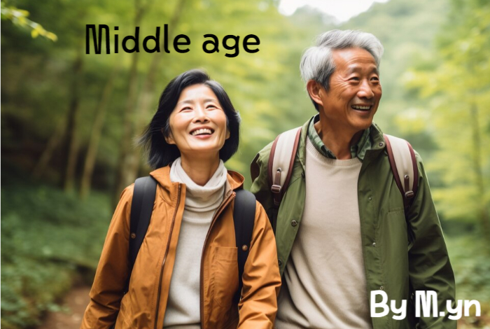 중년층