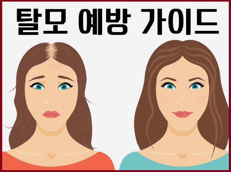 탈모 예방 가이드: 생활습관으로 바꾸는 건강한 두피