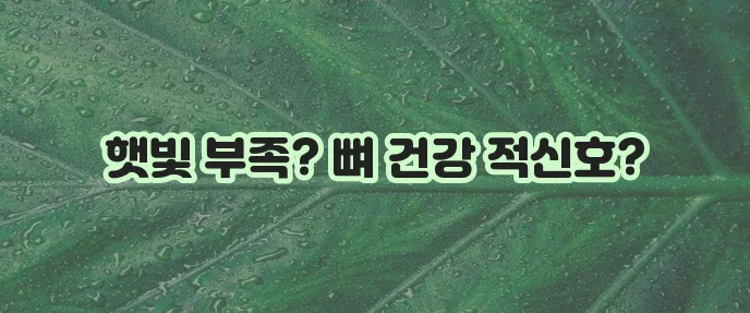 비타민D 부족 증상과 함유 음식 정보를 꼭 알아야 합니다