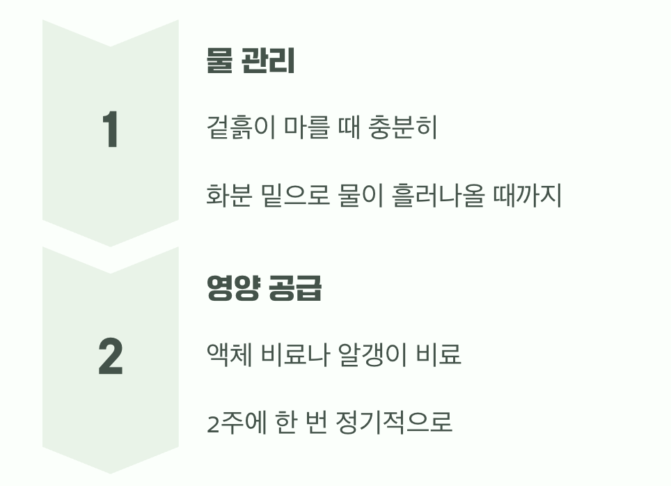 성장의 필수 조건&amp;#44; 물과 양분