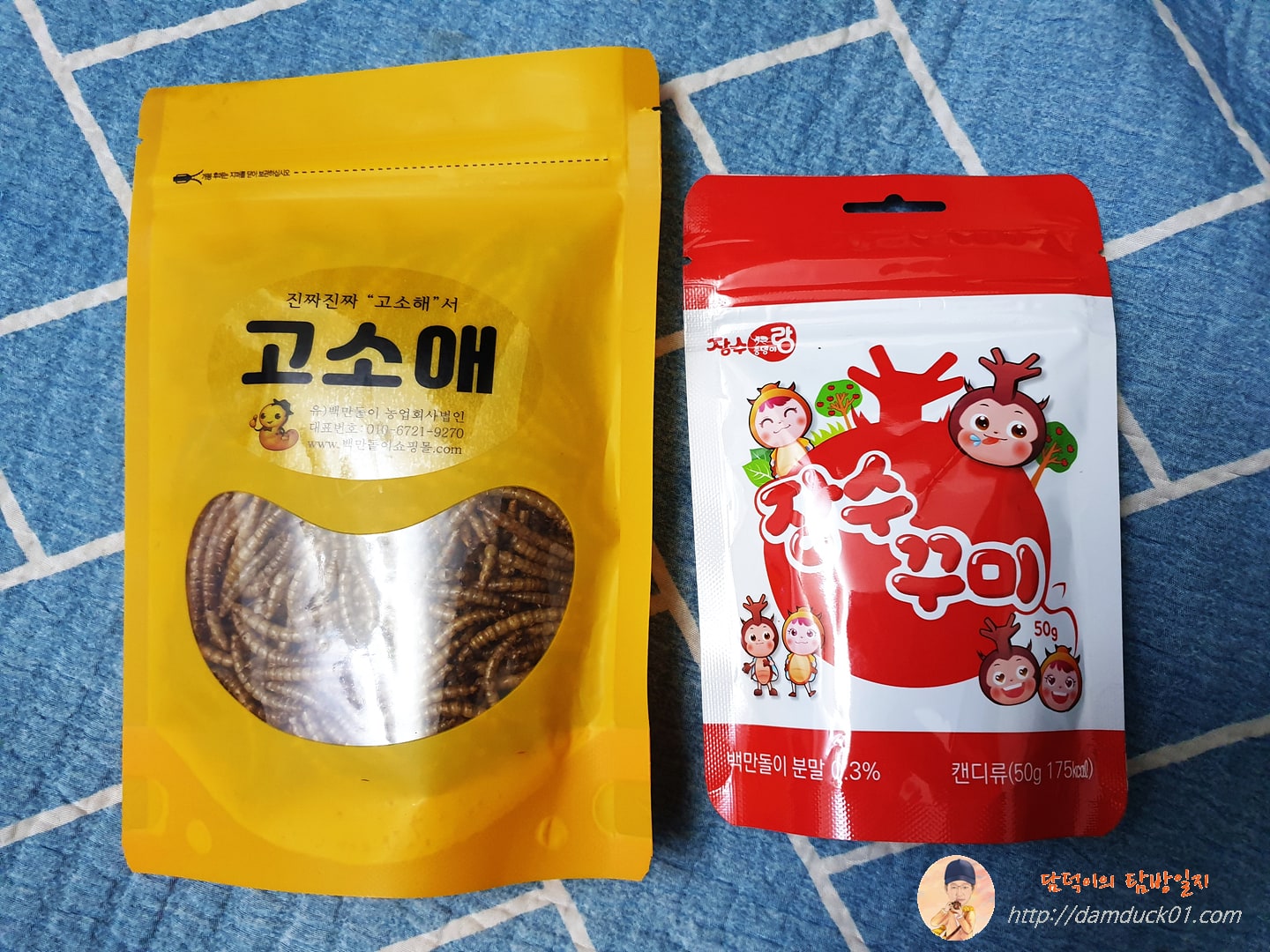 고소애와 장수꾸미