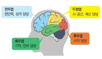 전두측두엽 치매