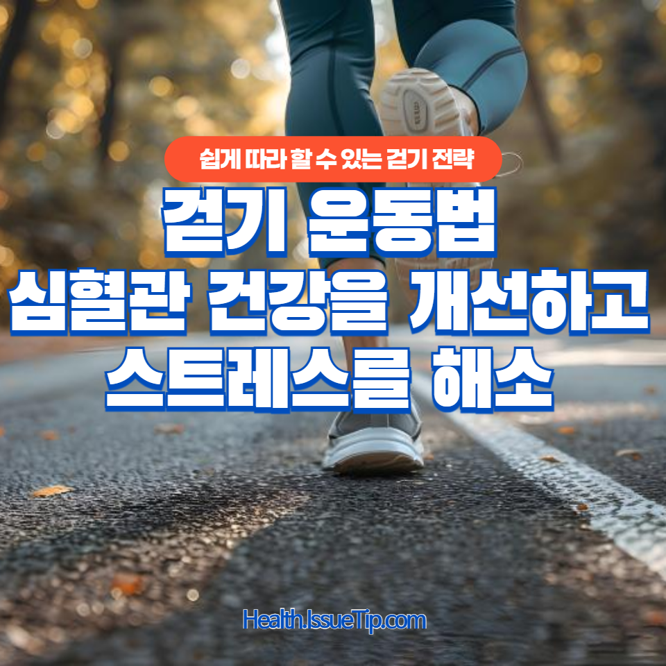 하루 만보 걷기부터 체중 감량까지, 걷기 운동법