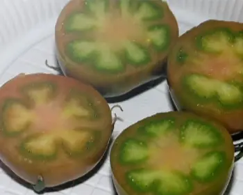 대저토마토축제_15