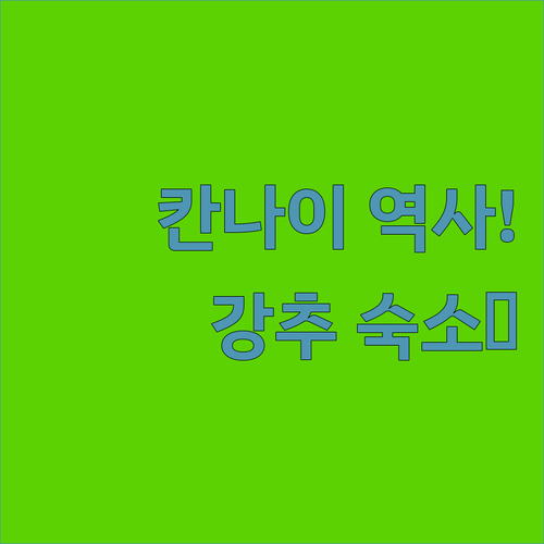 요코하마 칸나이 탄생 배경과 개항기념..