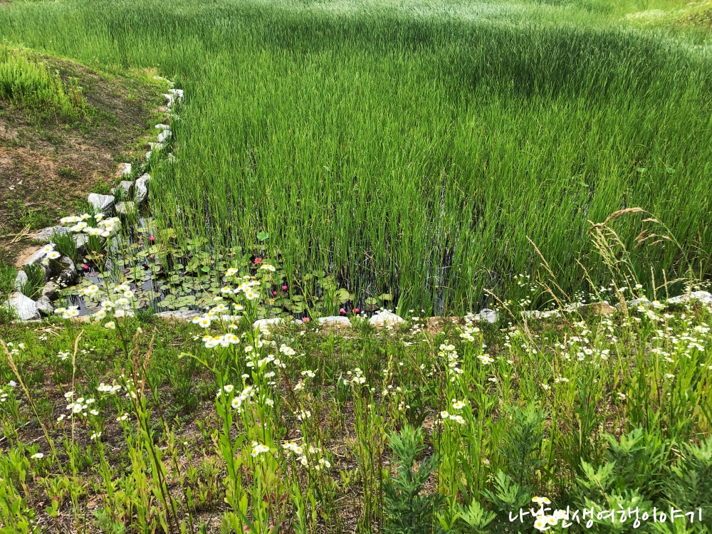“경기도_무료_텃밭_신청_8”