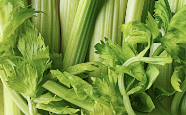 멜라토닌 많은 음식 27