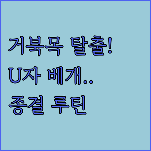 거북목 교정 돕는 U자형 베개 의자 ..