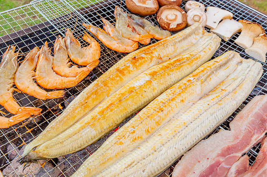 6시내고향 민물장어 구매 및 가격정보 심가네수산시장