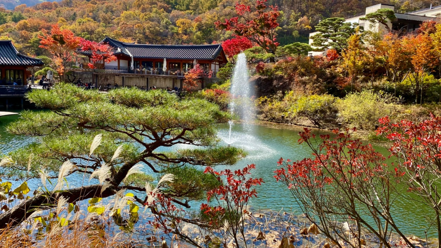 화담숲 예약 & 방문 가이드 ❘ 봄 벚꽃부터 가을 단풍까지 완벽 정리