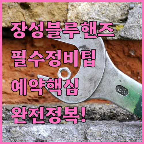 장성군 현대자동차 블루핸즈 위치 정비..