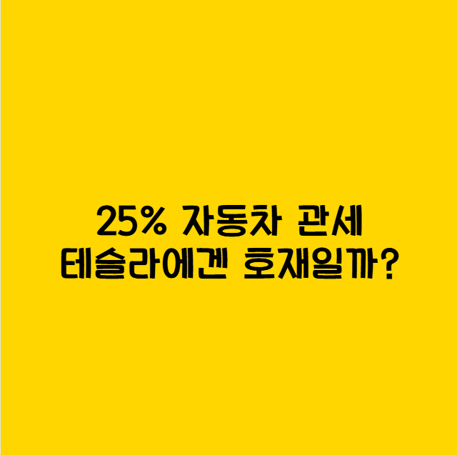 25% 자동차 관세