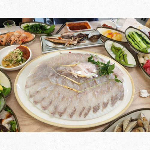 여름철 담백한 농어 회 접시