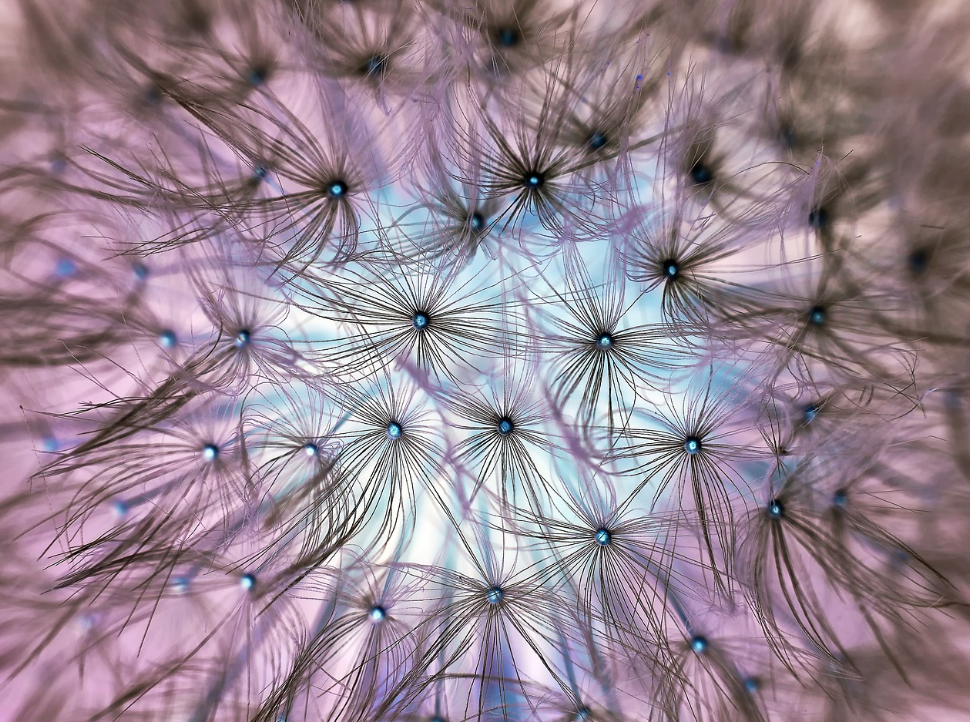 봄 알러지와 면역 체계의 관계 분석 (알러지 원인, 면역 반응, 관리 방법) 관련 사진