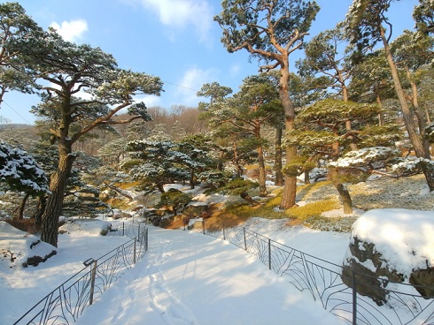 하얗게 빛나는 눈꽃 세상 화담숲