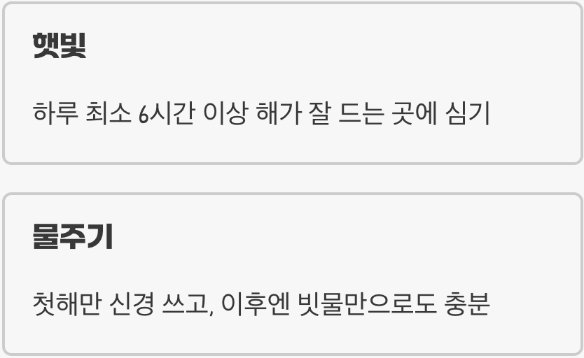 햇빛과 물, 이것만 기억하세요