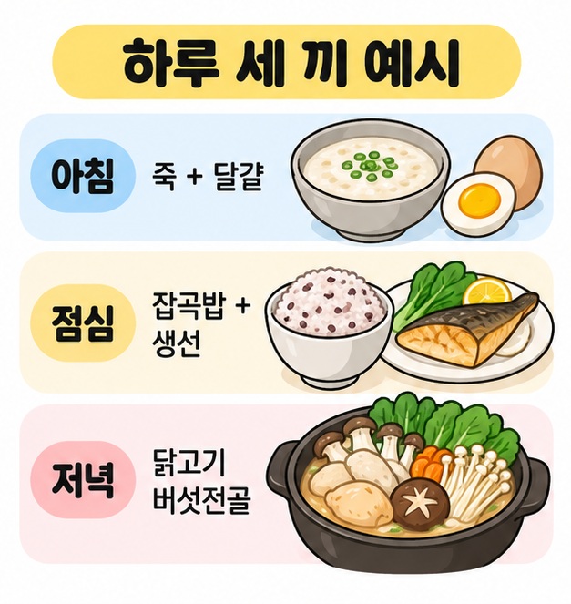 아침은 죽과 달걀, 점심은 잡곡밥과 생선, 저녁은 닭고기 버섯전골로 구성한 하루 식단 카드