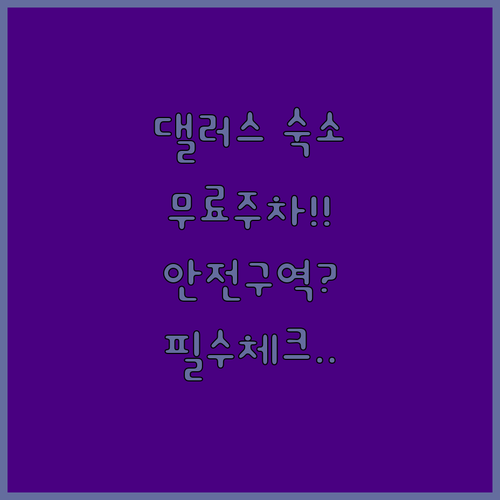 댈러스 렌터카 여행자를 위한 무료 주..