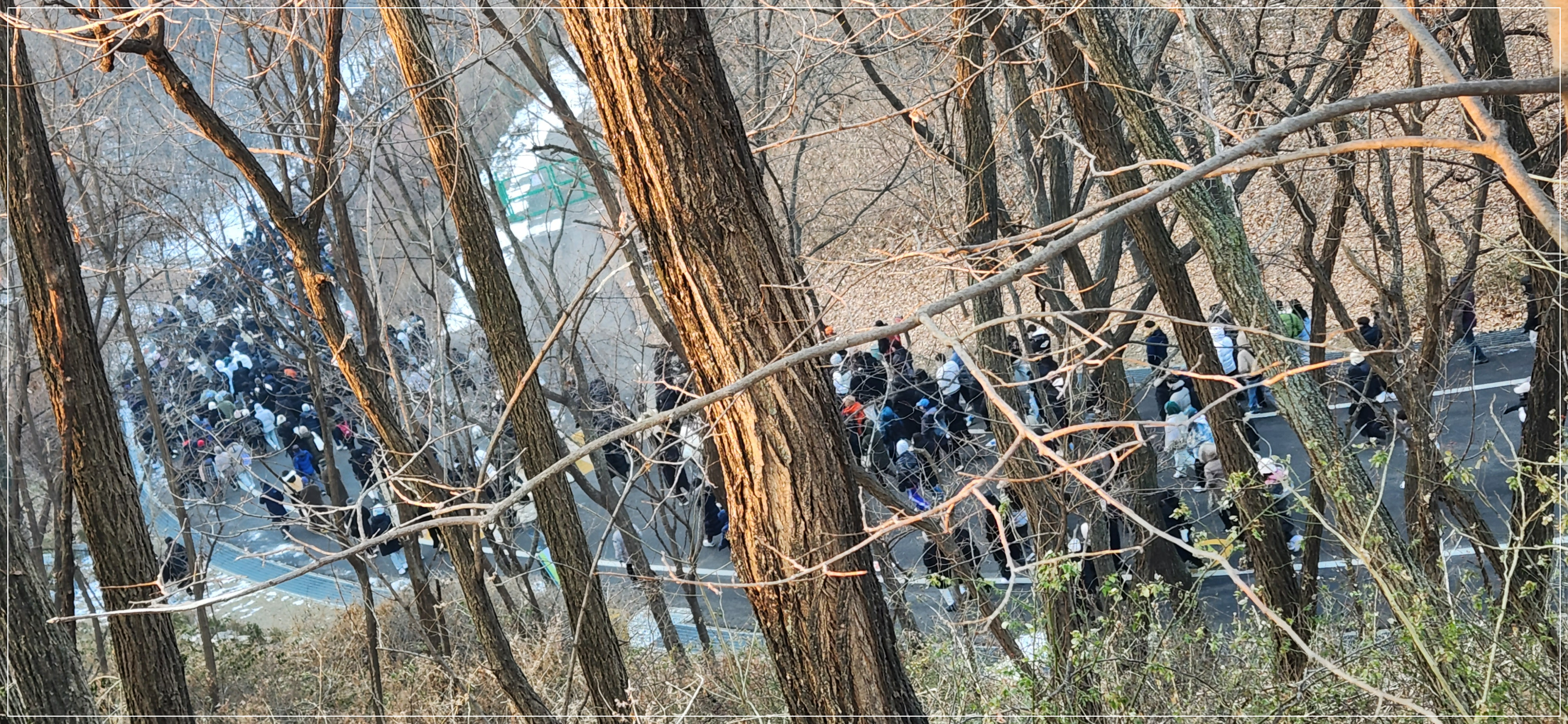 하늘공원 (마포) 새해 일출 해돋이 주차